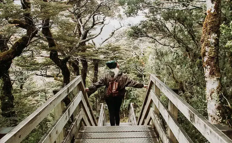 A person taking a walk in New Zealand forest by Katie McBroom