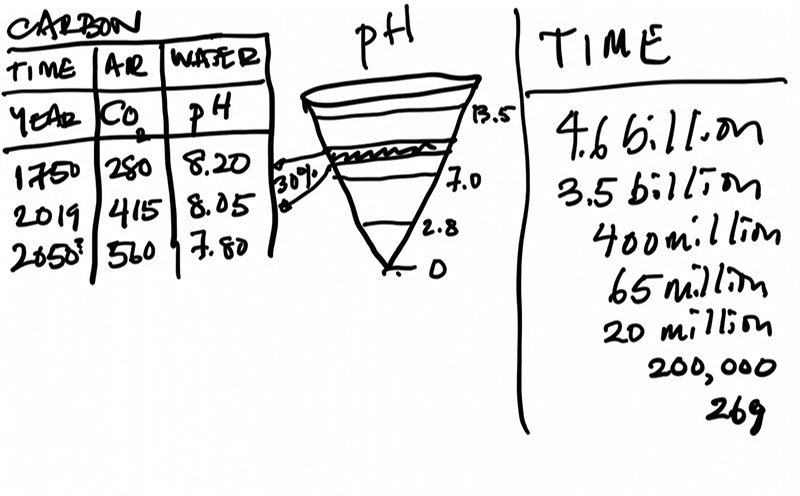 Alanna-Mitchell-graph-on-PH-levels