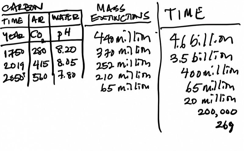 Alanna-Mitchell-graph-of-mass-extinctions