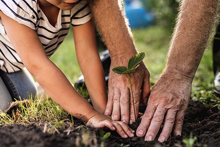 Hands of senior man with grandchild gardening outside