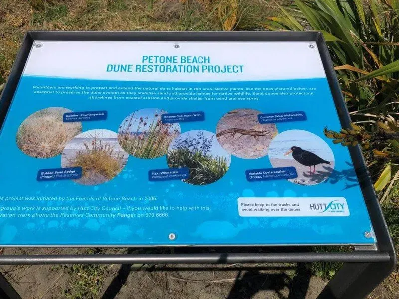 Petone Beach Dune Restoration Project