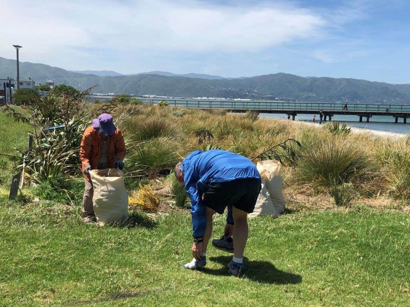 Volunteers at work plucking weeds at Petone foreshore