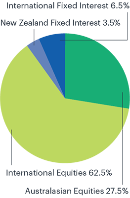 KiwiSaver Aggressive Fund Pie Chart Illustration