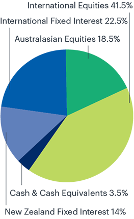 KiwiSaver Balanced Fund Pie Chart Illustration