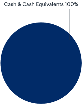 KiwiSaver Cash Fund Pie Chart Illustration