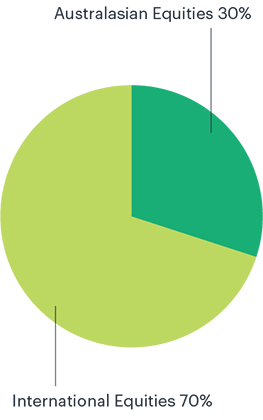 KiwiSaver Global Equities Fund Pie Chart Illustration