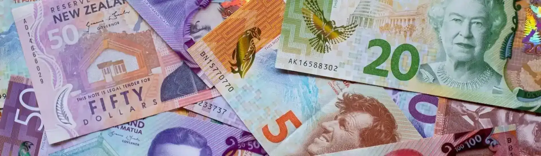 Flatlay of New Zealand dollars
