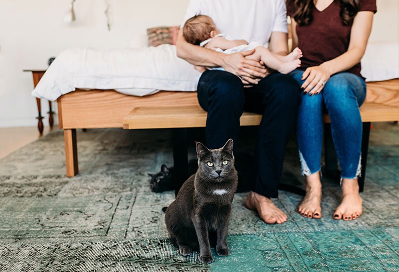 Parents with new baby sitting on the edge of a bed with pet cat in front