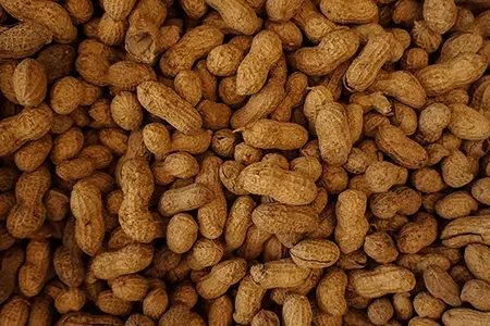 Close up of a bunch of peanuts