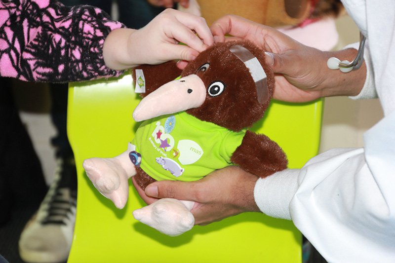 Stuffed kiwi soft toy wearing a MAS t-shirt at the Teddy Bear Hospital