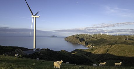 Wind turbine on a farm surrounded by sheep