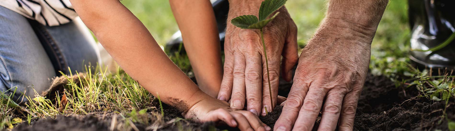 Two generations planting a seed