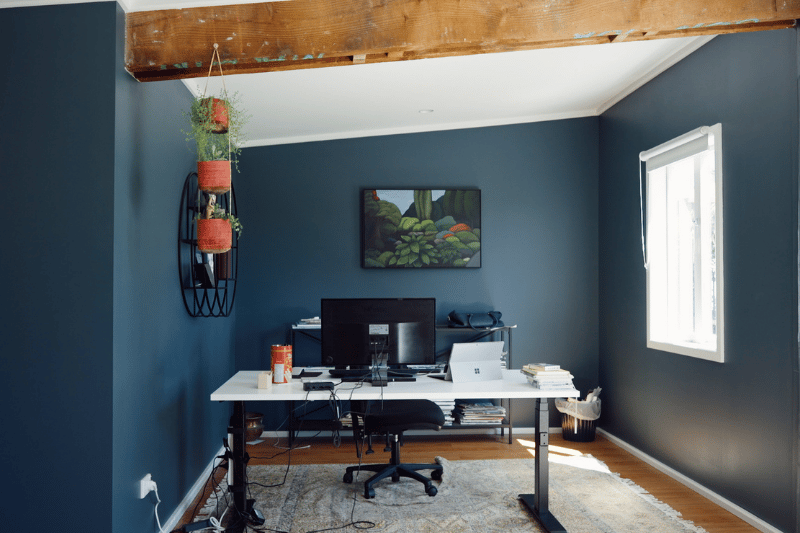 The office with beautifully coloured walls and hanging plants