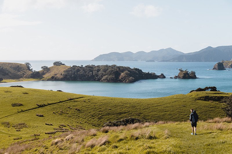 Urupukapuka Island in Bay of Island NZ