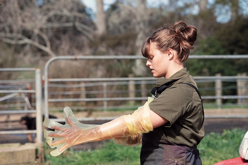 Veterinarian Leah Wakeford Farm Visit