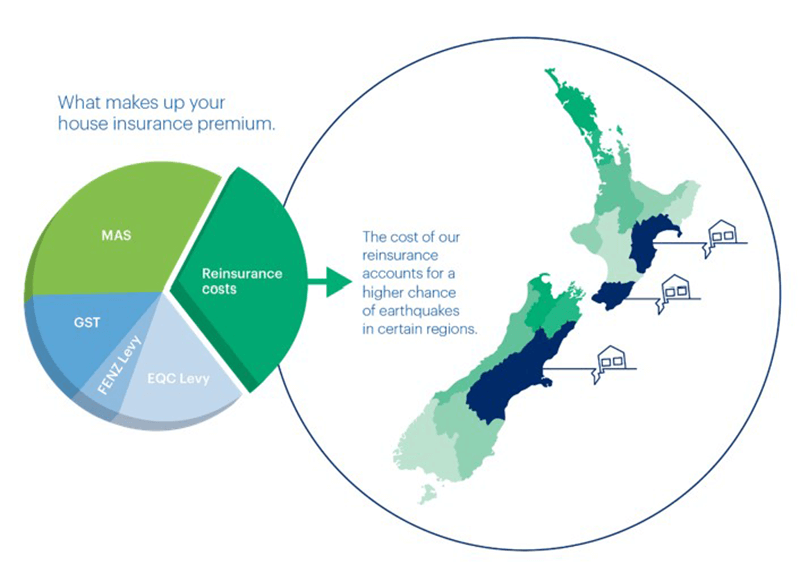 infographic-showing-piechart-components-and-map-of-NZ