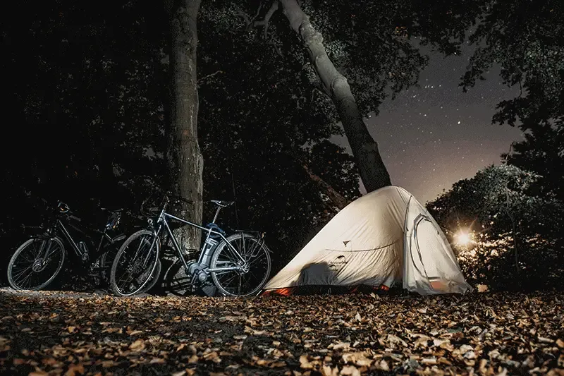 tent and bikes leaning against a tree in forest at sundown